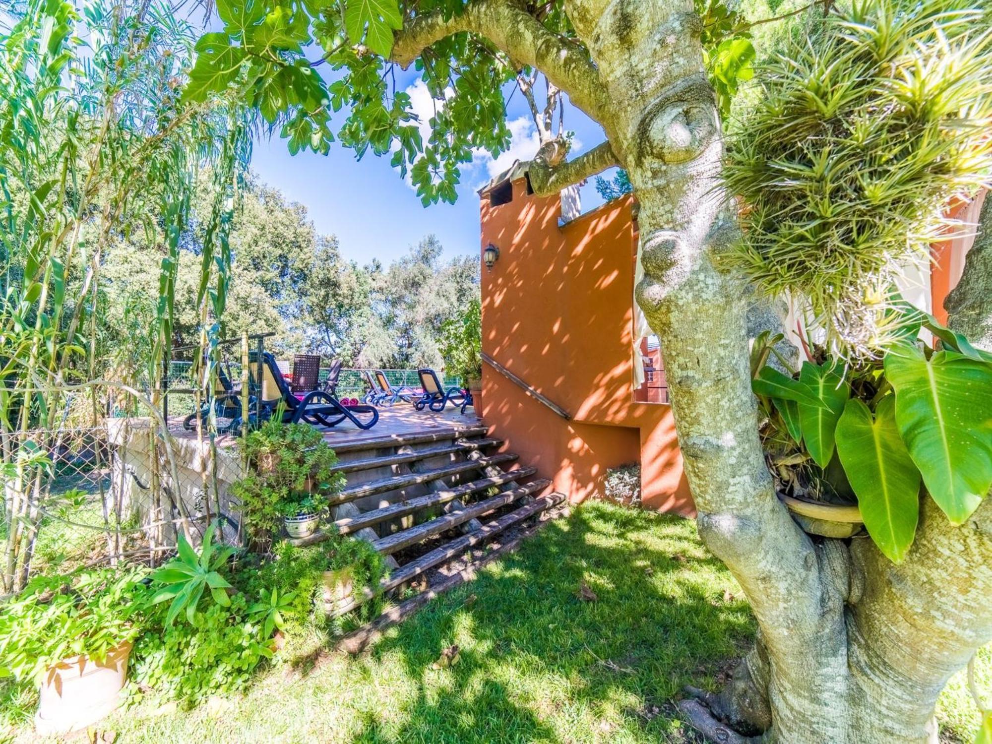 Finca In Mallorca With Private Pool Búger 외부 사진